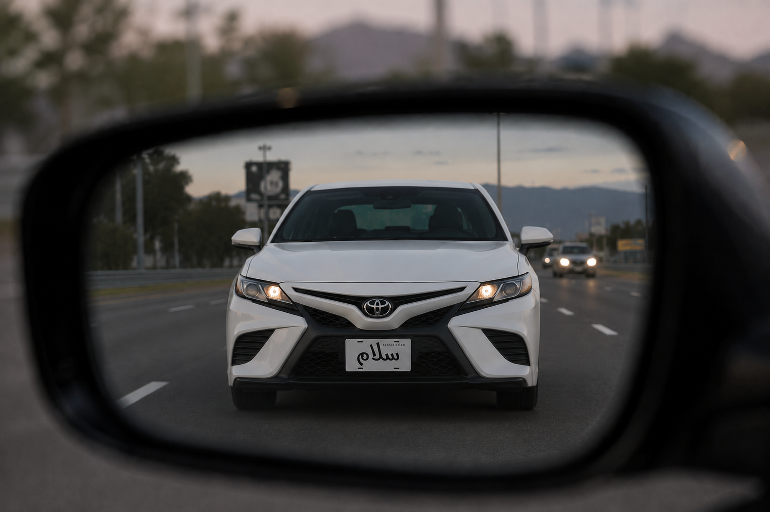 Spread Salam License Plate Reminder